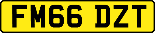 FM66DZT