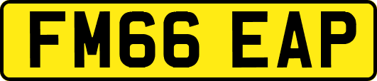 FM66EAP