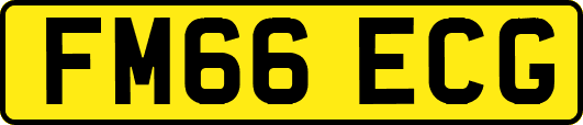 FM66ECG