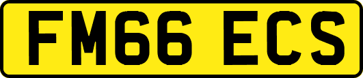 FM66ECS