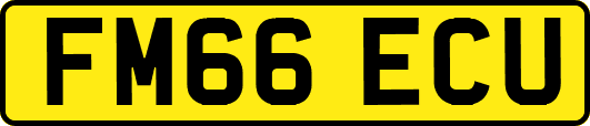 FM66ECU