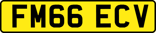 FM66ECV