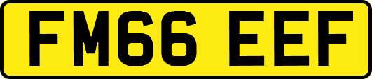 FM66EEF