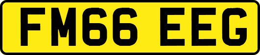 FM66EEG