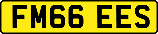 FM66EES
