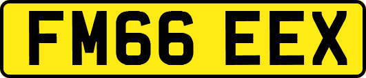 FM66EEX