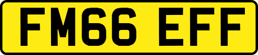 FM66EFF