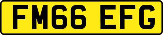 FM66EFG