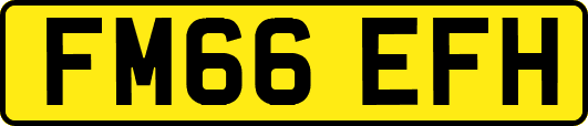 FM66EFH