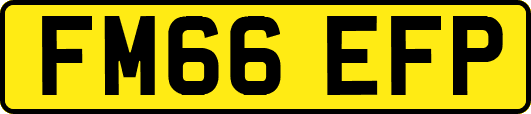 FM66EFP