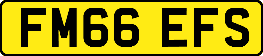 FM66EFS