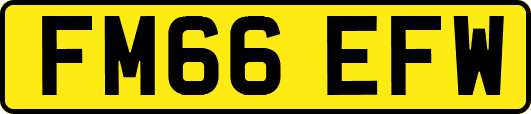 FM66EFW