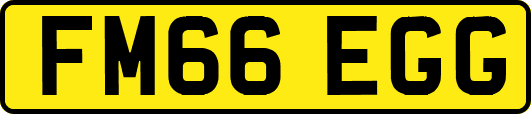 FM66EGG