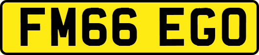 FM66EGO
