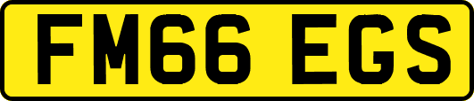 FM66EGS