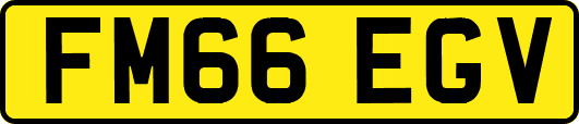 FM66EGV