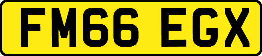 FM66EGX