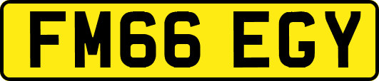 FM66EGY