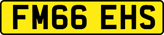 FM66EHS