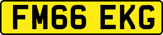 FM66EKG
