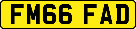 FM66FAD