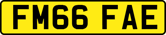 FM66FAE