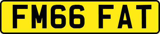 FM66FAT