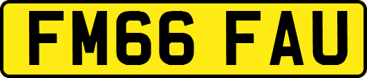 FM66FAU