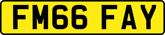 FM66FAY
