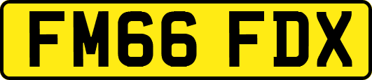 FM66FDX