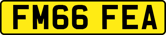 FM66FEA