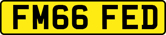 FM66FED