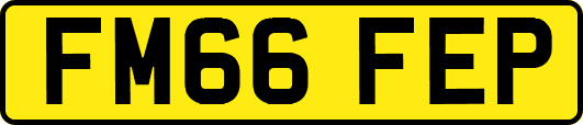 FM66FEP