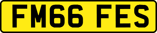 FM66FES