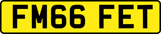 FM66FET