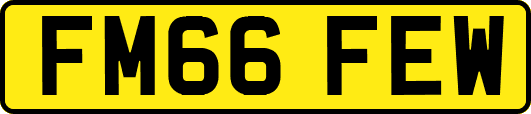 FM66FEW