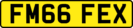 FM66FEX