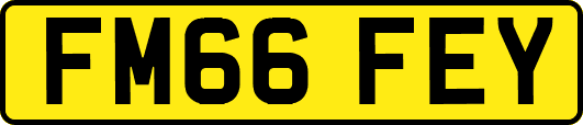 FM66FEY
