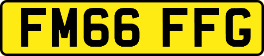 FM66FFG