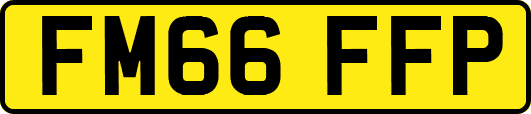 FM66FFP