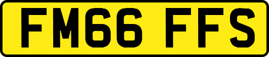FM66FFS