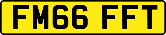 FM66FFT