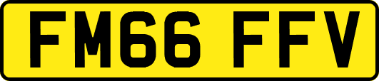 FM66FFV