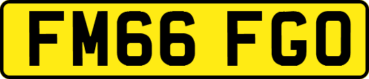 FM66FGO