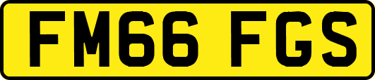 FM66FGS