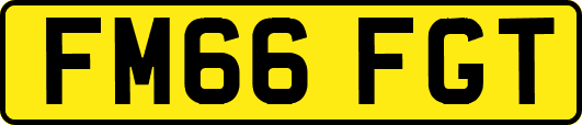 FM66FGT