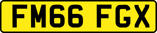 FM66FGX