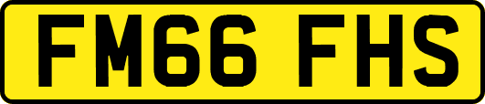 FM66FHS