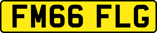 FM66FLG