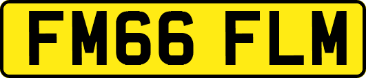 FM66FLM